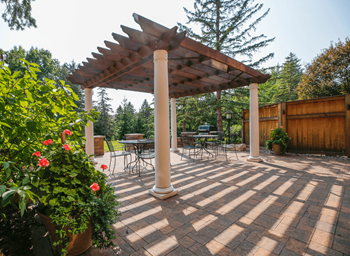 Barbecue/grill area & patio